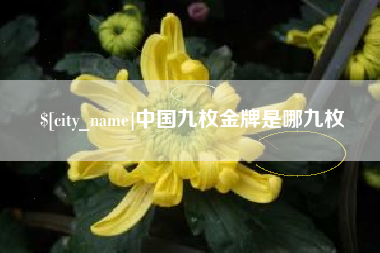 贵港中国九枚金牌是哪九枚
