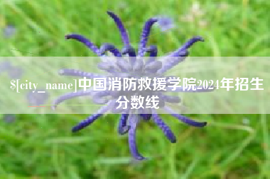 贵港中国消防救援学院2024年招生分数线
