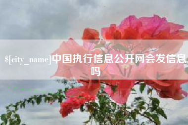 贵港中国执行信息公开网会发信息吗