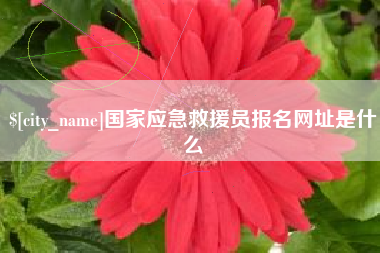 贵港国家应急救援员报名网址是什么