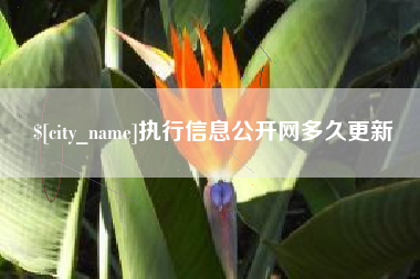贵港执行信息公开网多久更新