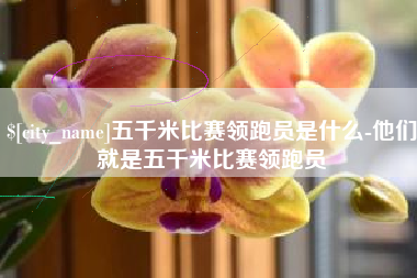贵港五千米比赛领跑员是什么-他们就是五千米比赛领跑员