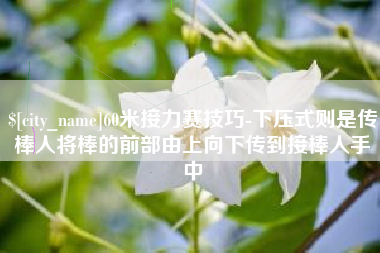 贵港60米接力赛技巧-下压式则是传棒人将棒的前部由上向下传到接棒人手中