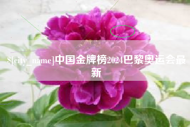 贵港中国金牌榜2024巴黎奥运会最新
