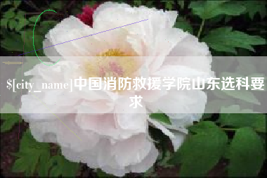贵港中国消防救援学院山东选科要求