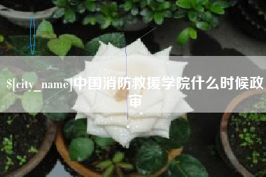 贵港中国消防救援学院什么时候政审
