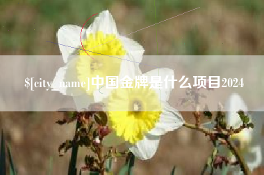 贵港中国金牌是什么项目2024