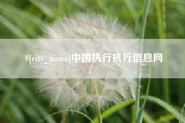 贵港中国执行执行信息网