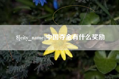 贵港中国夺金有什么奖励