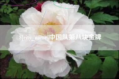 贵港中国队第八块金牌