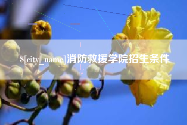 贵港消防救援学院招生条件
