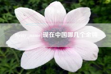 贵港现在中国哪几个金牌