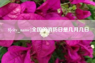 贵港全国的消防日是几月几日