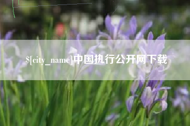 贵港中国执行公开网下载