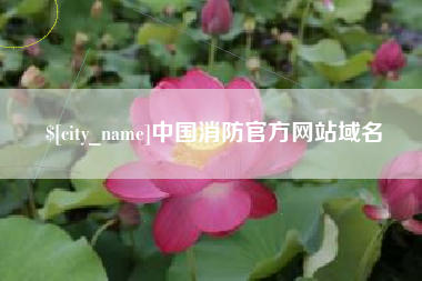 贵港中国消防官方网站域名