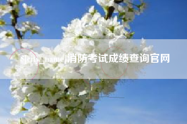 贵港消防考试成绩查询官网