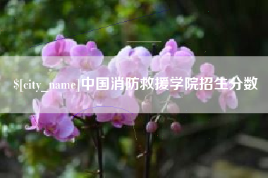 贵港中国消防救援学院招生分数