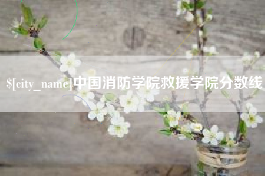 贵港中国消防学院救援学院分数线