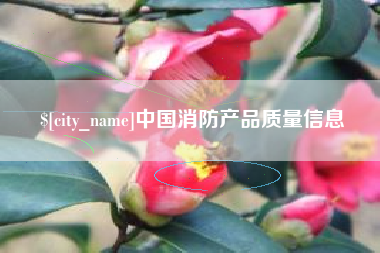 贵港中国消防产品质量信息