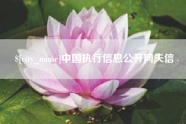 贵港中国执行信息公开网失信