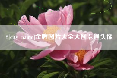 贵港金牌图片大全大图卡通头像