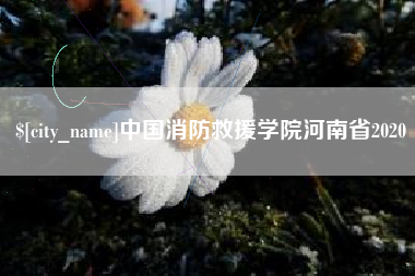 贵港中国消防救援学院河南省2020